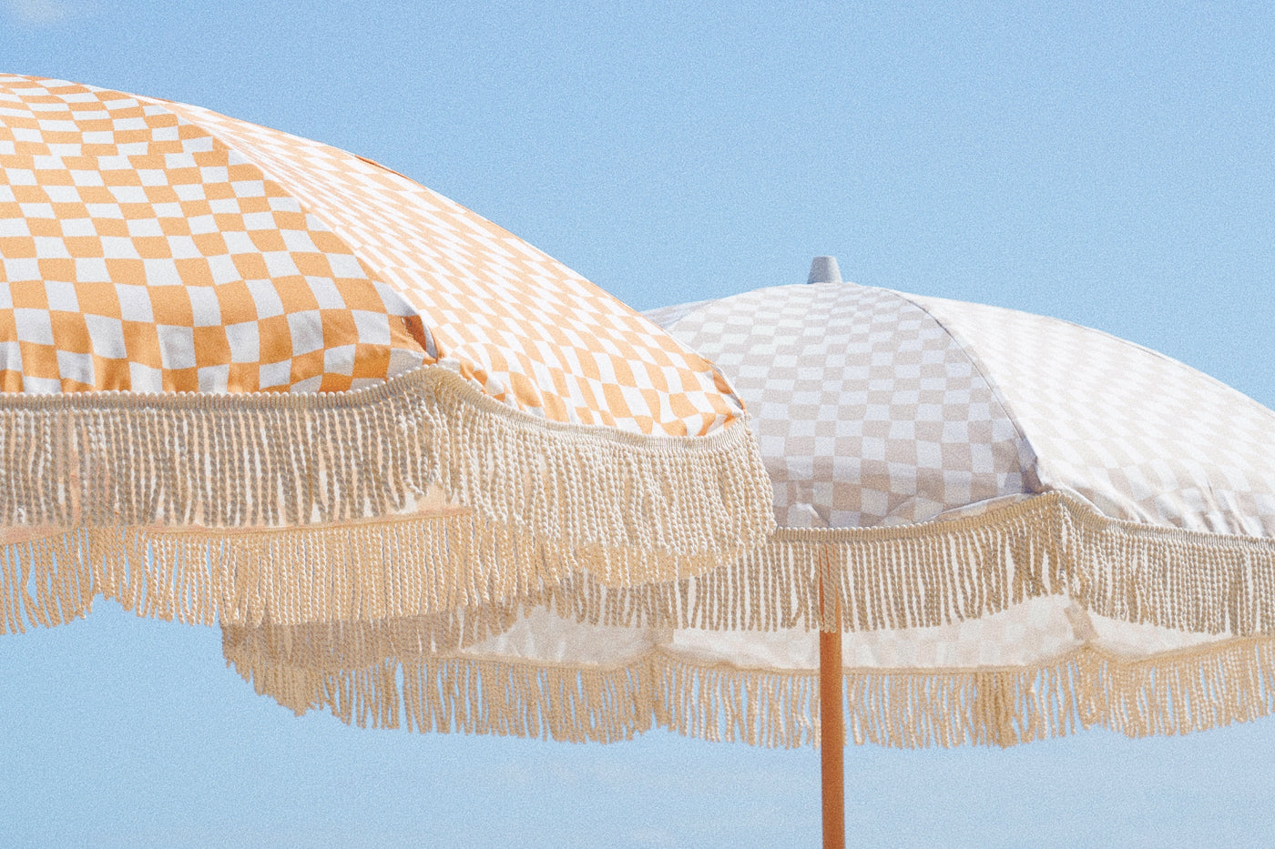Animal Kingdom Beach Umbrella